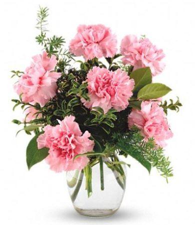 6 Pink Carnations Vase product1195