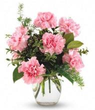 6 Pink Carnations Vase 6 Pink Carnations Vase