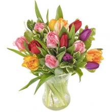 Mixed Color Tulips in a Vase