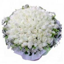 100 white roses bouquet